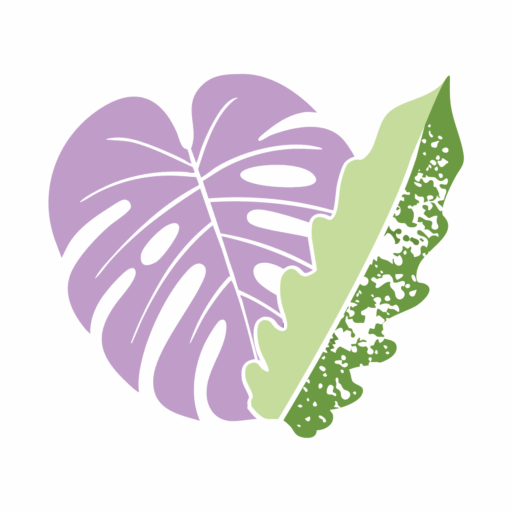 cropped-instagram-icon.png