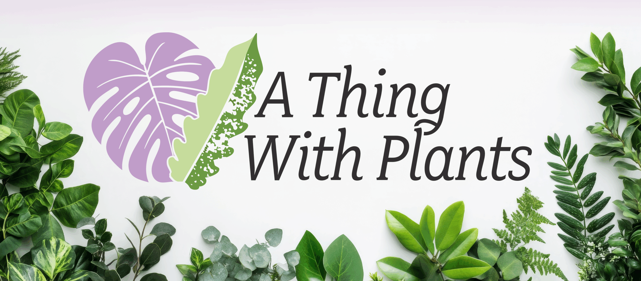 Welcome to A Thing With Plants